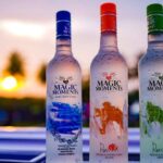 Magic Moments Vodka Cost in India 2025: Flavors, Sizes, and State-Wise Breakdown