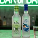 Magic Moments Vodka Price