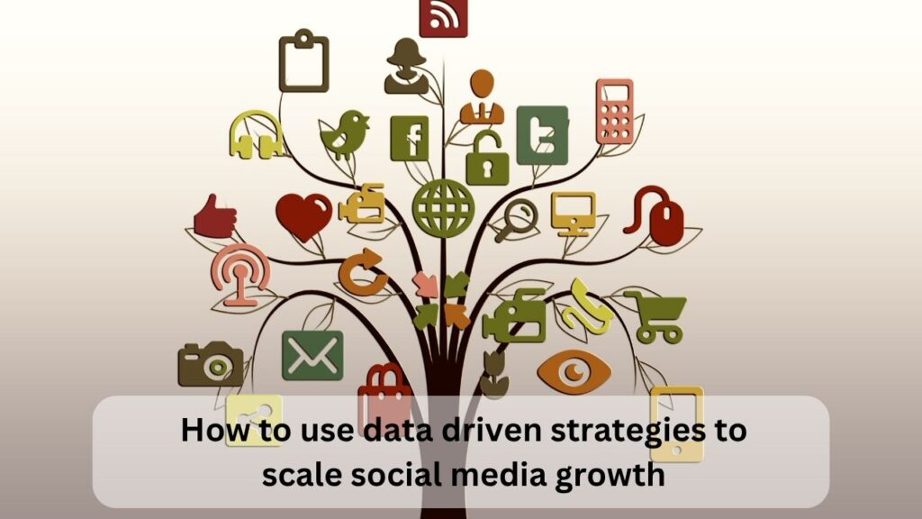 How to use data driven strategies to scale social media growth