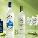 Magic Moments Grain Vodka Price (2026)